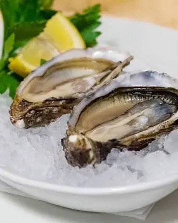 Two open Spéciale oysters on crushed ice, with lemon and parsley